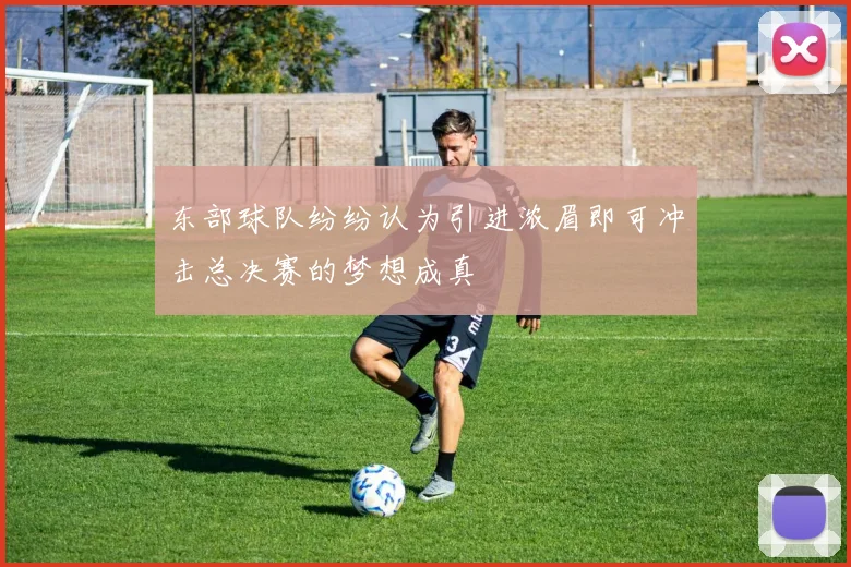 东部球队纷纷认为引进浓眉即可冲击总决赛的梦想成真